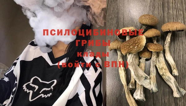 прущие крисы Заволжье
